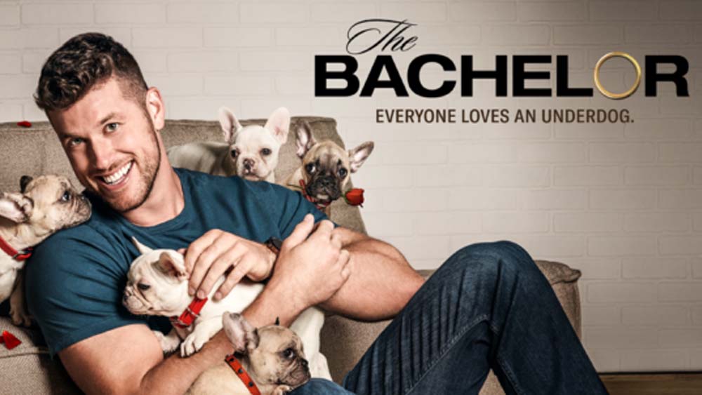 The Bachelor